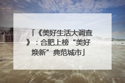 《美好生活大调查》：合肥上榜“美好焕新”典范城市