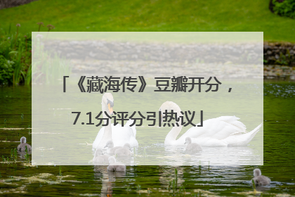 《藏海传》豆瓣开分，7.1分评分引热议