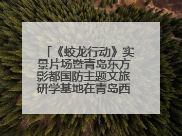 《蛟龙行动》实景片场暨青岛东方影都国防主题文旅研学基地在青岛西海岸新区开业