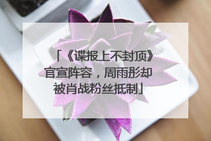 《谍报上不封顶》官宣阵容，周雨彤却被肖战粉丝抵制