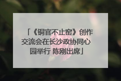《铜官不止窑》创作交流会在长沙政协同心园举行 陈刚出席