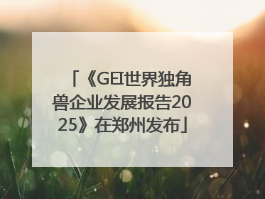 《GEI世界独角兽企业发展报告2025》在郑州发布