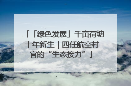 「绿色发展」千亩荷塘 十年新生｜四任航空村官的“生态接力”