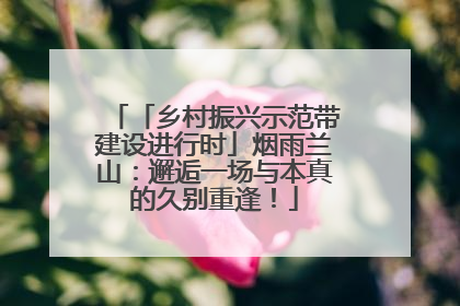 「乡村振兴示范带建设进行时」烟雨兰山：邂逅一场与本真的久别重逢！