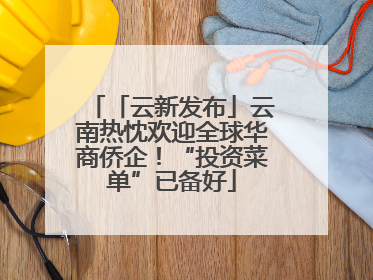 「云新发布」云南热忱欢迎全球华商侨企！“投资菜单”已备好