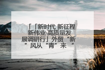 「新时代 新征程 新伟业·高质量发展调研行」外贸“新”风从“青”来 “双向奔赴”启新程