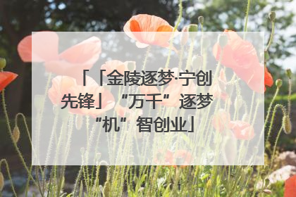 「金陵逐梦·宁创先锋」“万千”逐梦 “机”智创业