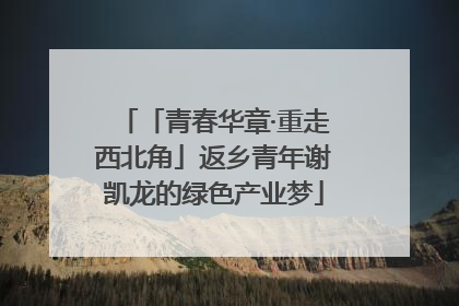 「青春华章·重走西北角」返乡青年谢凯龙的绿色产业梦