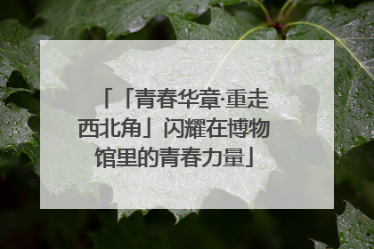 「青春华章·重走西北角」闪耀在博物馆里的青春力量