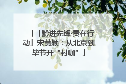 「黔进先锋·贵在行动」宋慧颖：从北京到毕节开“村咖”