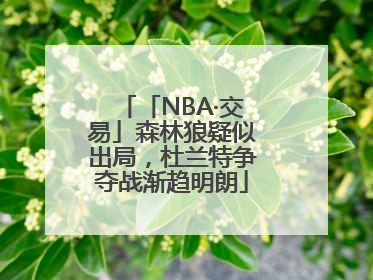 「NBA·交易」森林狼疑似出局，杜兰特争夺战渐趋明朗