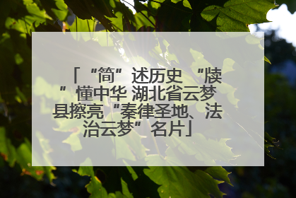 “简”述历史 “牍”懂中华 湖北省云梦县擦亮“秦律圣地、法治云梦”名片