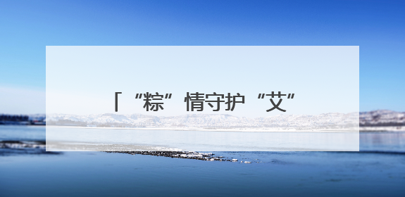 “粽”情守护“艾”满社区 民警携手“黄鹤卫士”反诈宣传