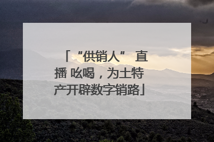 “供销人” 直播 吆喝，为土特产开辟数字销路
