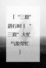 “三夏”进行时丨“三夏”大忙 气象帮忙