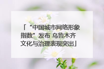 “中国城市网络形象指数”发布 乌鲁木齐文化与治理表现突出