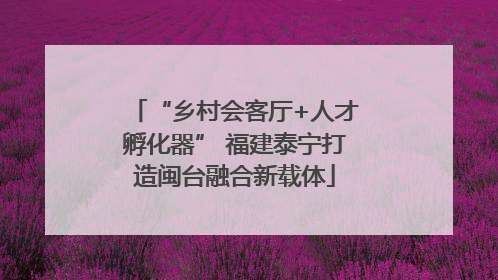 “乡村会客厅+人才孵化器” 福建泰宁打造闽台融合新载体