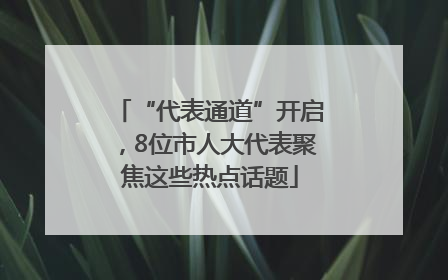 “代表通道”开启，8位市人大代表聚焦这些热点话题