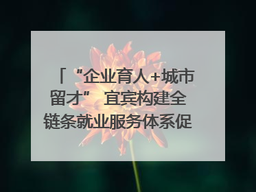 “企业育人+城市留才” 宜宾构建全链条就业服务体系促高校毕业生就业｜您牵挂的四川