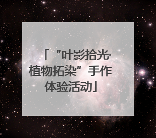 “叶影拾光·植物拓染”手作体验活动
