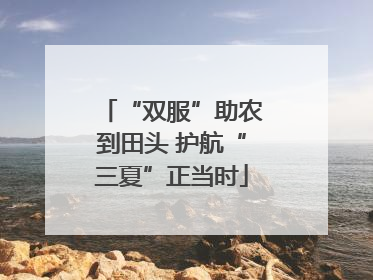“双服”助农到田头 护航“三夏”正当时