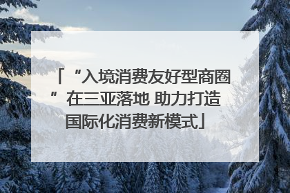 “入境消费友好型商圈”在三亚落地 助力打造国际化消费新模式