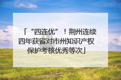 “四连优”！荆州连续四年获省对市州知识产权保护考核优秀等次