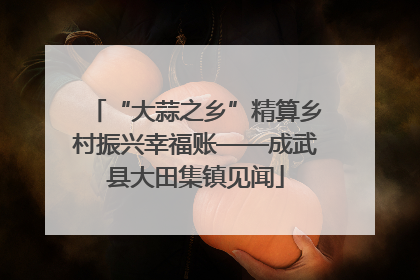 “大蒜之乡”精算乡村振兴幸福账——成武县大田集镇见闻