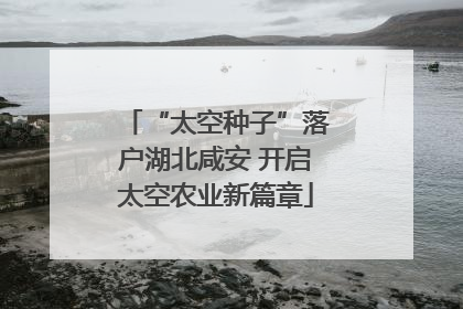 “太空种子”落户湖北咸安 开启太空农业新篇章