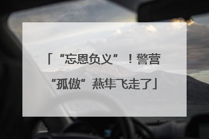 “忘恩负义”！警营“孤傲”燕隼飞走了