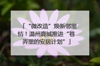 “微改造”焕新邻里情！温州鹿城推进“巷弄里的安居计划”
