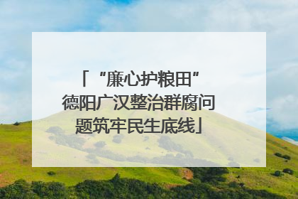 “廉心护粮田” 德阳广汉整治群腐问题筑牢民生底线