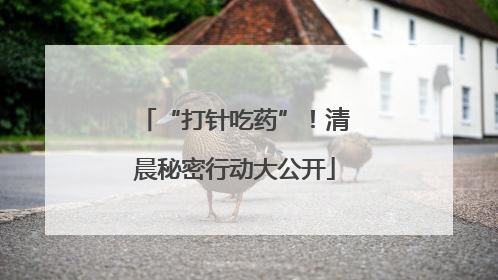 “打针吃药”！清晨秘密行动大公开