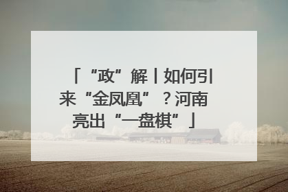 “政”解丨如何引来“金凤凰”？河南亮出“一盘棋”