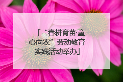 “春耕育苗·童心向农”劳动教育实践活动举办