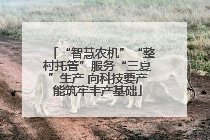 “智慧农机”“整村托管”服务“三夏”生产 向科技要产能筑牢丰产基础