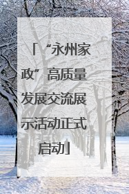 “永州家政”高质量发展交流展示活动正式启动