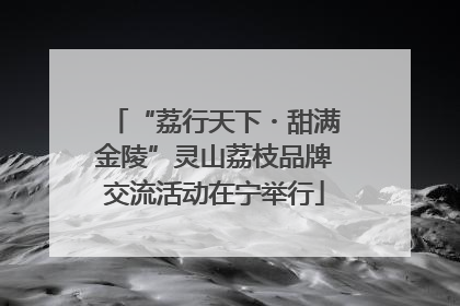 “荔行天下・甜满金陵”灵山荔枝品牌交流活动在宁举行