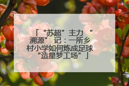 “苏超”主力 “溯源” 记：一所乡村小学如何炼成足球 “造星梦工场”