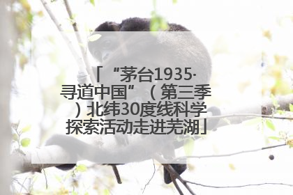 “茅台1935·寻道中国”（第三季）北纬30度线科学探索活动走进芜湖