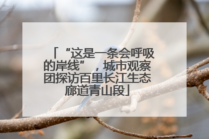 “这是一条会呼吸的岸线”，城市观察团探访百里长江生态廊道青山段