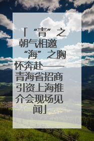 “青”之朝气相邀 “海”之胸怀奔赴——青海省招商引资上海推介会现场见闻