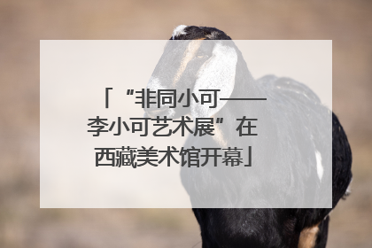 “非同小可——李小可艺术展”在西藏美术馆开幕