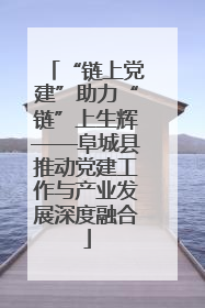 “链上党建”助力“链”上生辉——阜城县推动党建工作与产业发展深度融合