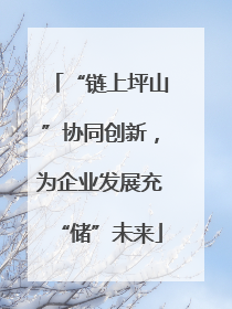 “链上坪山”协同创新，为企业发展充“储”未来