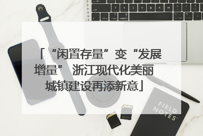 “闲置存量”变“发展增量” 浙江现代化美丽城镇建设再添新意