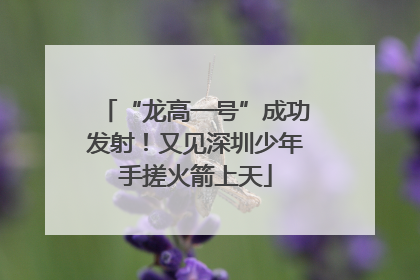 “龙高一号”成功发射！又见深圳少年手搓火箭上天