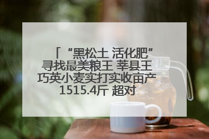 “黑松土 活化肥”寻找最美粮王 莘县王巧英小麦实打实收亩产1515.4斤 超对照田144斤！