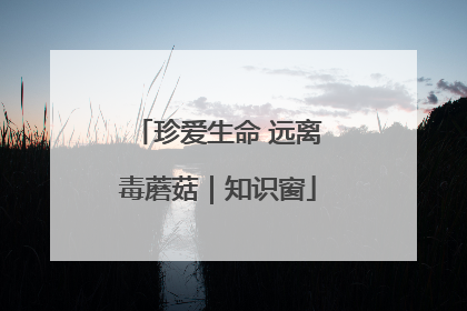 珍爱生命 远离毒蘑菇｜知识窗