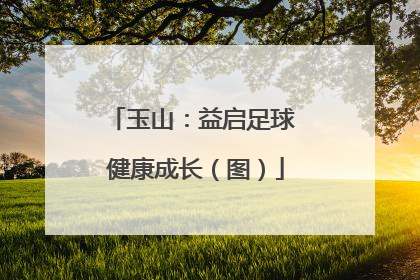玉山：益启足球 健康成长（图）